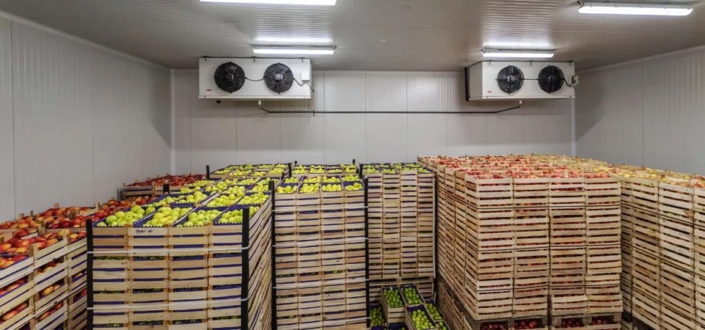How to Plan Storage Capacity as a Food Business Grows
